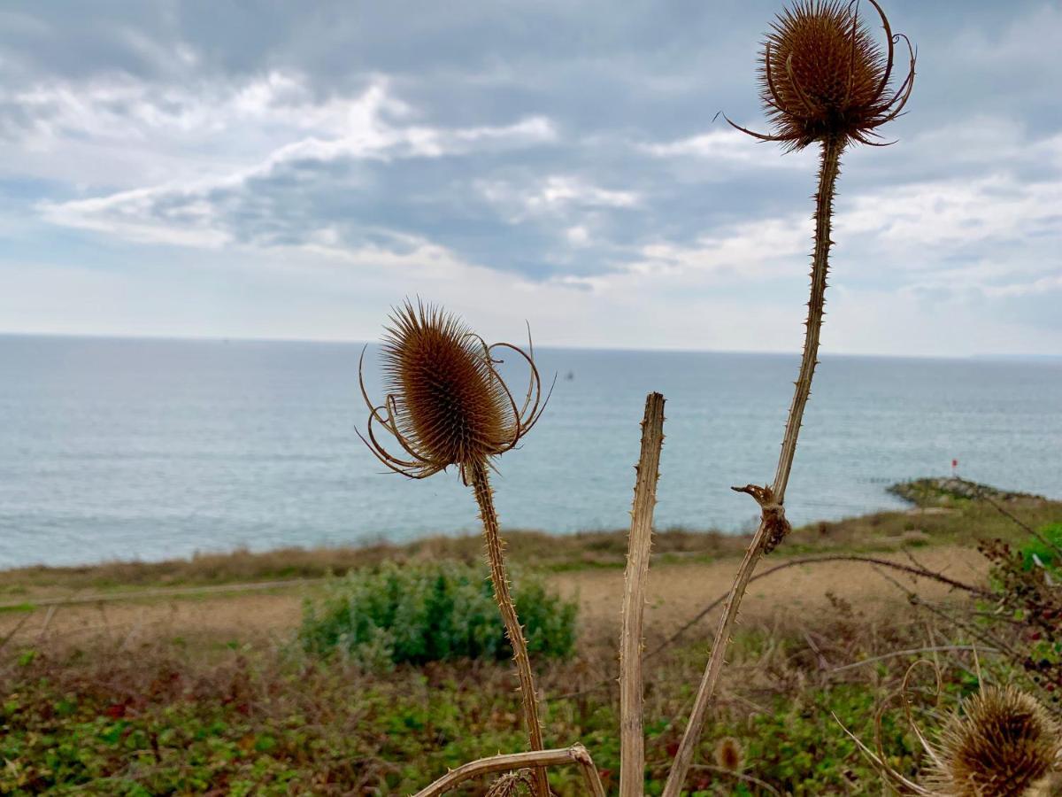 Shorefield Country Park, Where The New Forest Meets The Sea, Passes For All Entertainment Included Милфорд он Сий Екстериор снимка