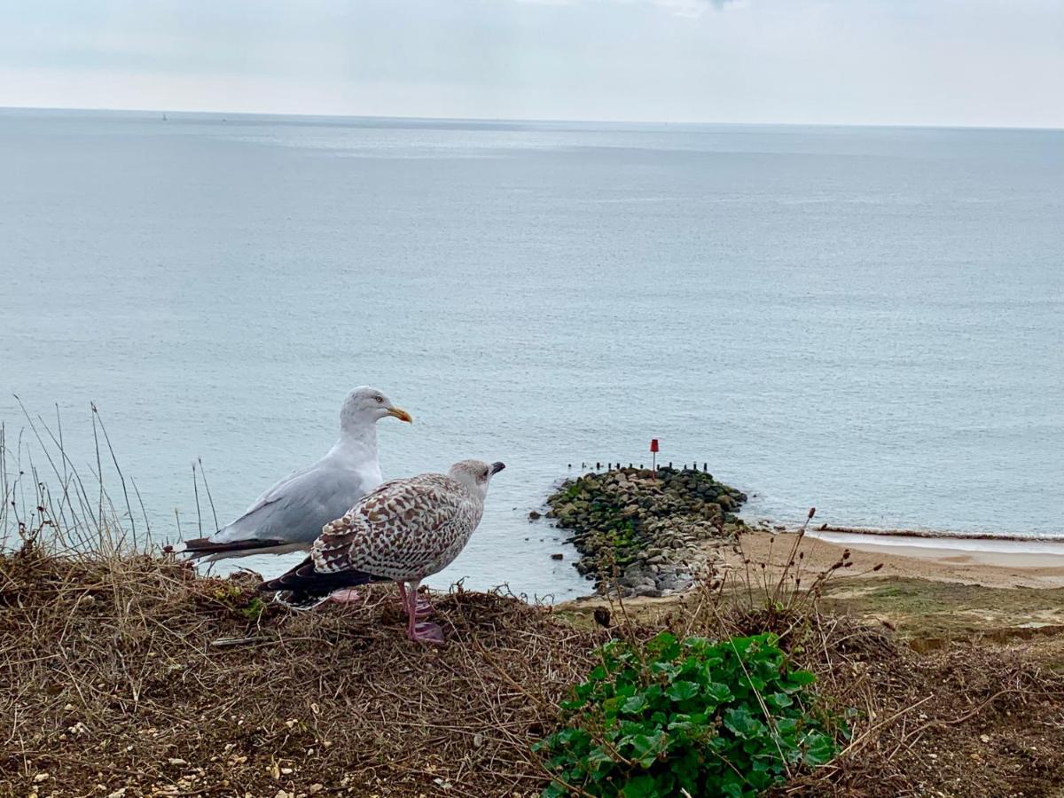 Shorefield Country Park, Where The New Forest Meets The Sea, Passes For All Entertainment Included Милфорд он Сий Екстериор снимка