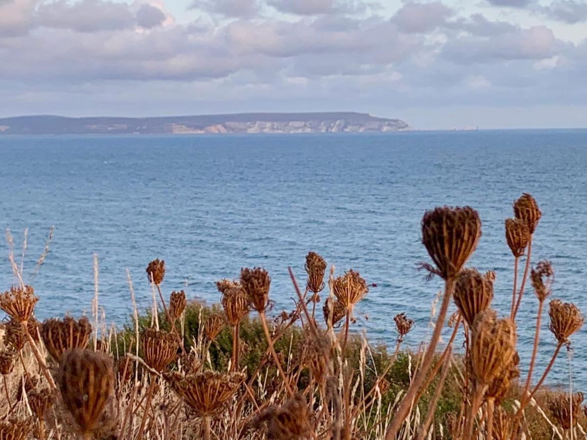 Shorefield Country Park, Where The New Forest Meets The Sea, Passes For All Entertainment Included Милфорд он Сий Екстериор снимка