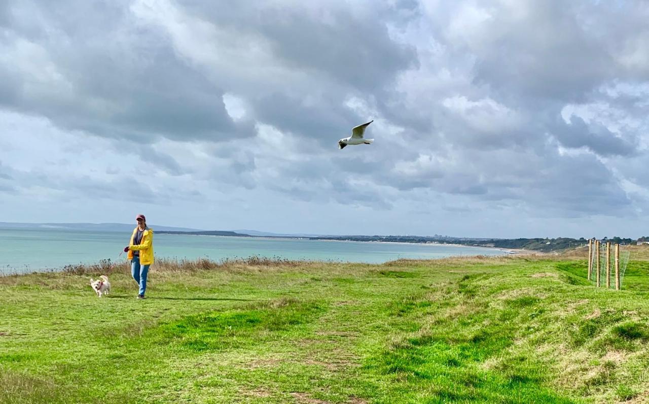 Shorefield Country Park, Where The New Forest Meets The Sea, Passes For All Entertainment Included Милфорд он Сий Екстериор снимка